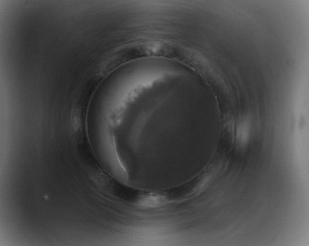 X0000089830754200706281211