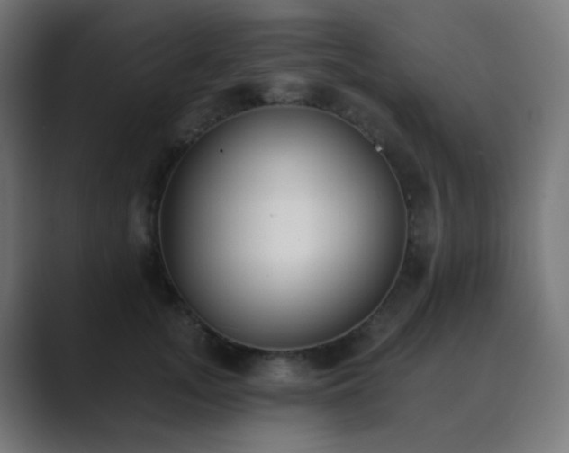 X0000089830755200706281211