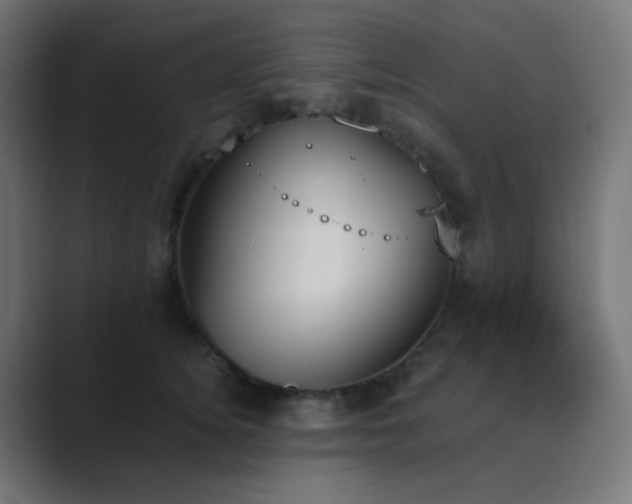 X0000089830756200706281211