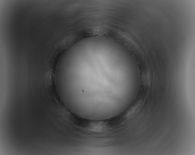 X0000089830757200706281211