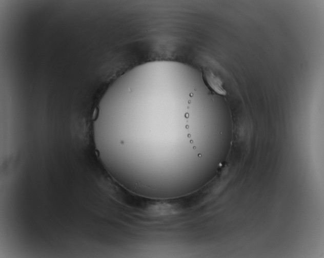 X0000089830759200706281211