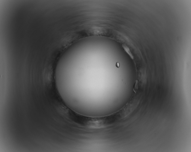 X0000089830760200706281211