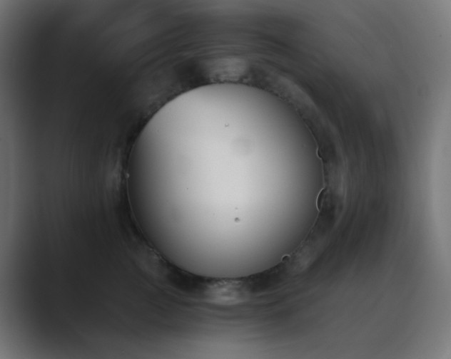 X0000089830761200706281211