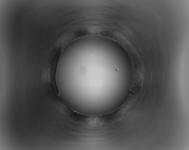 X0000089830762200706281211