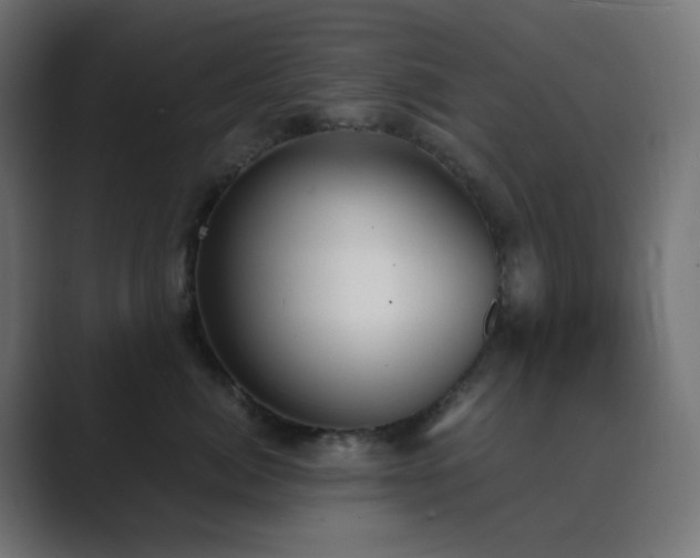 X0000089830764200706281211