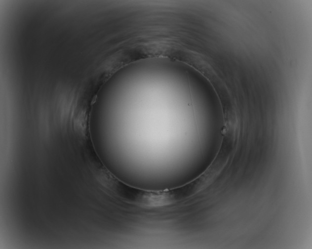 X0000089830767200706281211