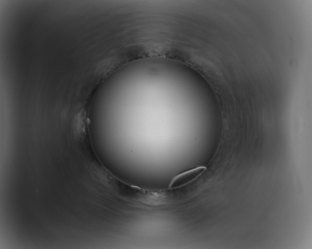 X0000089830768200706281211