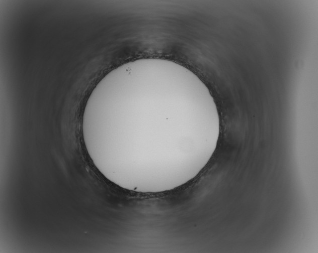 X0000089830769200706281211
