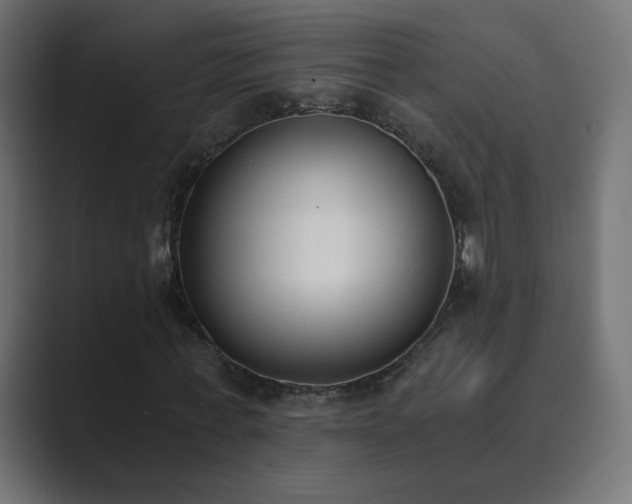 X0000089830771200706281211