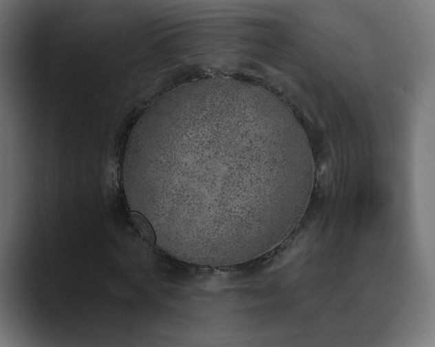 X0000089830772200706281211