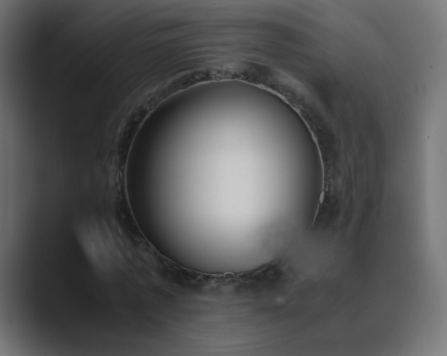X0000089830773200706281211