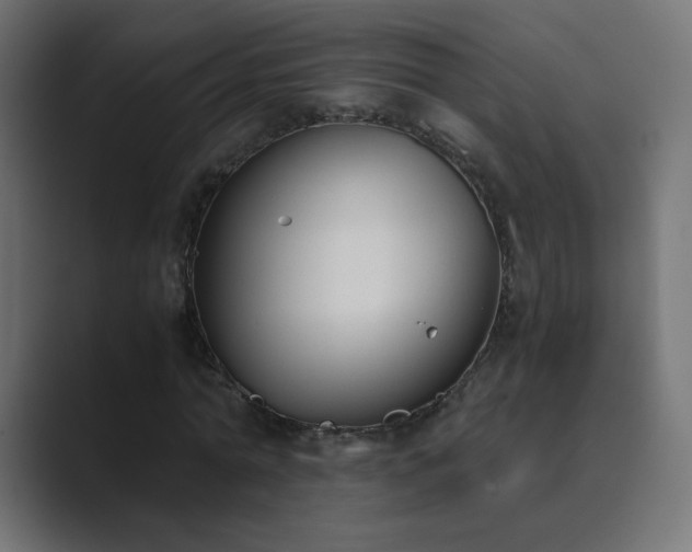 X0000089830774200706281211