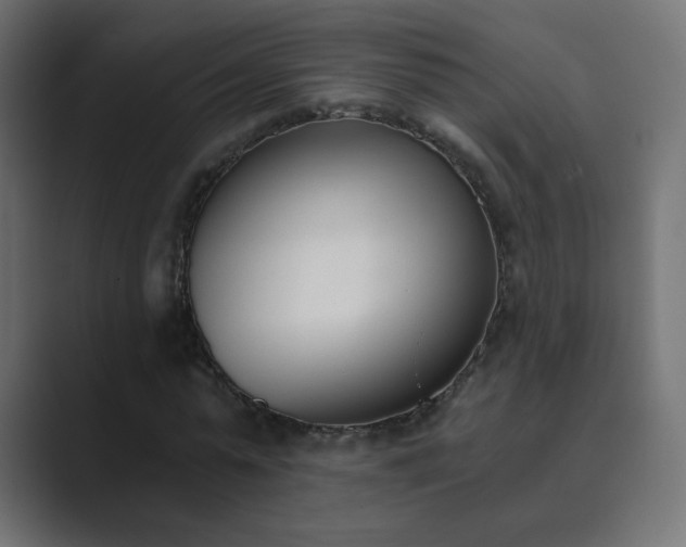 X0000089830775200706281211