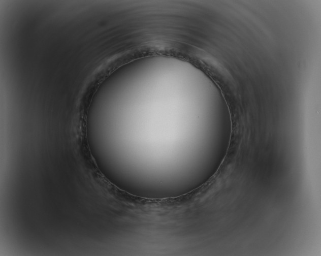 X0000089830776200706281211