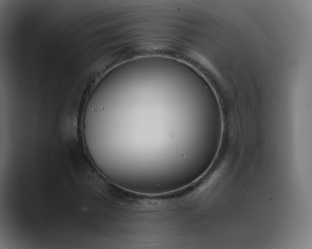 X0000089830777200706281211