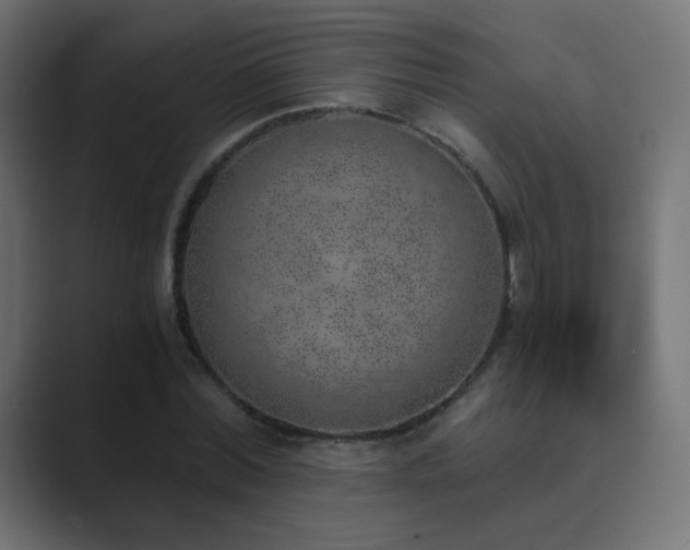 X0000089830780200706281211