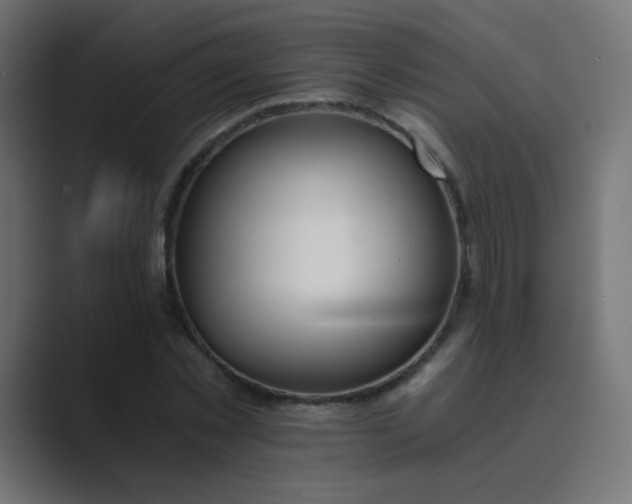 X0000089830781200706281211