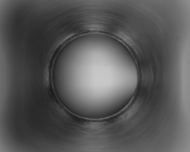 X0000089830782200706281211
