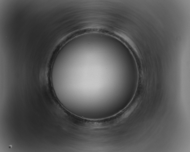 X0000089830783200706281211