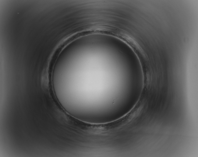 X0000089830784200706281211