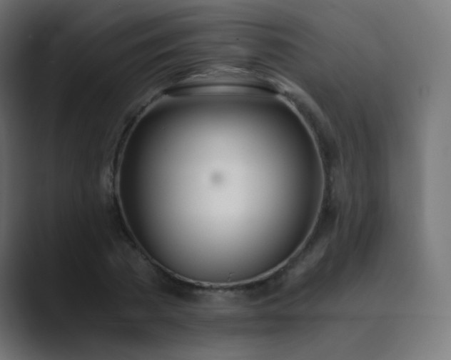 X0000089830785200706281211