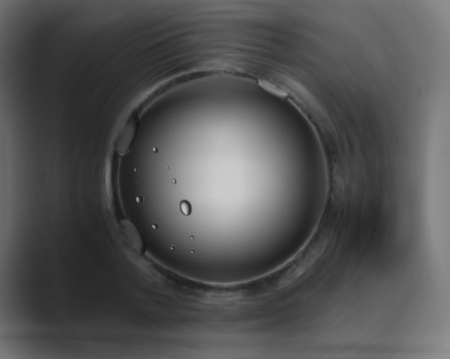 X0000089830788200706281211
