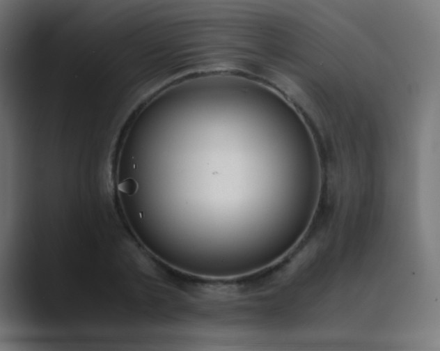 X0000089830789200706281211