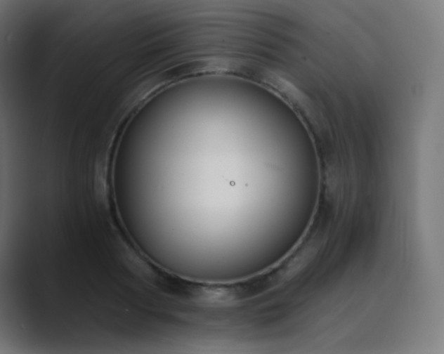 X0000089830794200706281211
