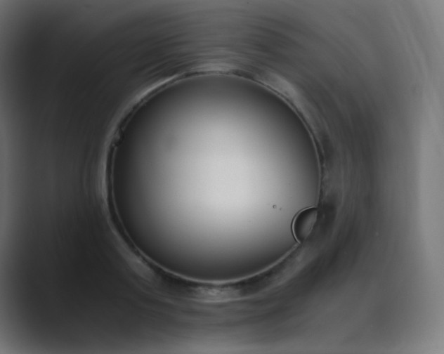 X0000089830795200706281210