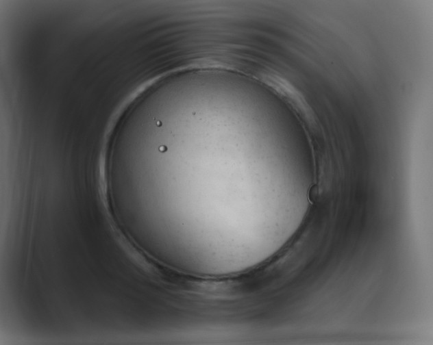 X0000089830796200706281210