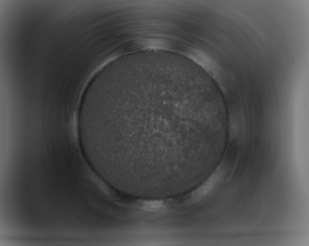 X0000089830798200706281210