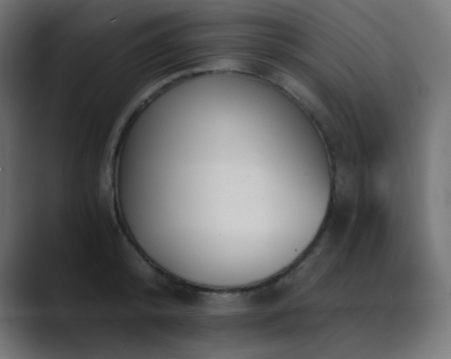 X0000089830800200706281210