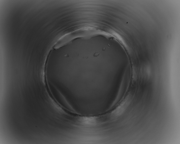 X0000089830802200706281210