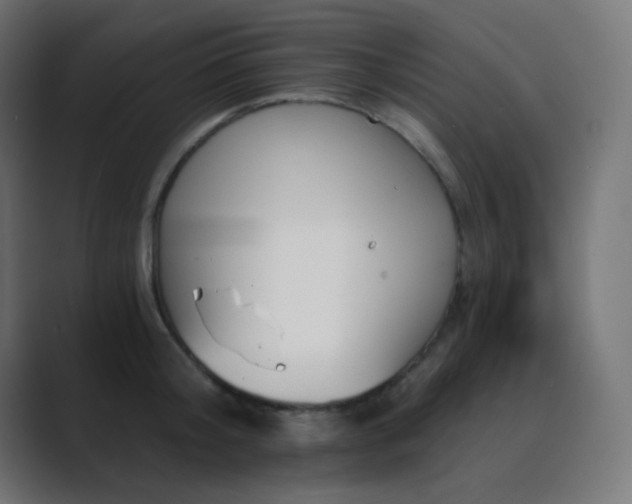 X0000089830804200706281210