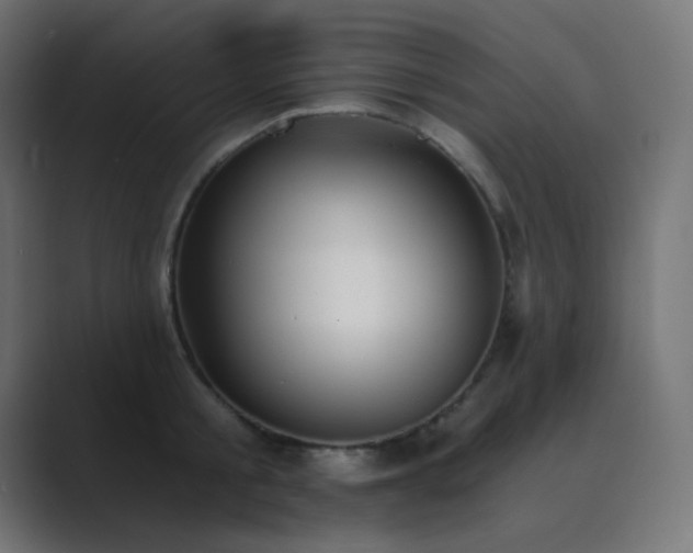 X0000089830805200706281210