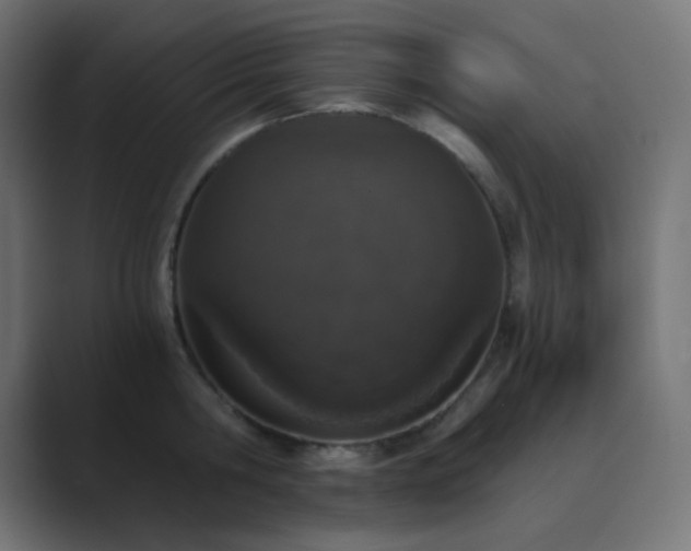 X0000089830806200706281210