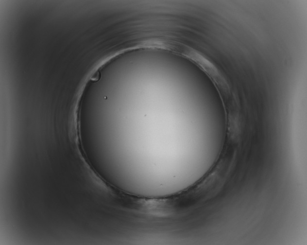 X0000089830808200706281210