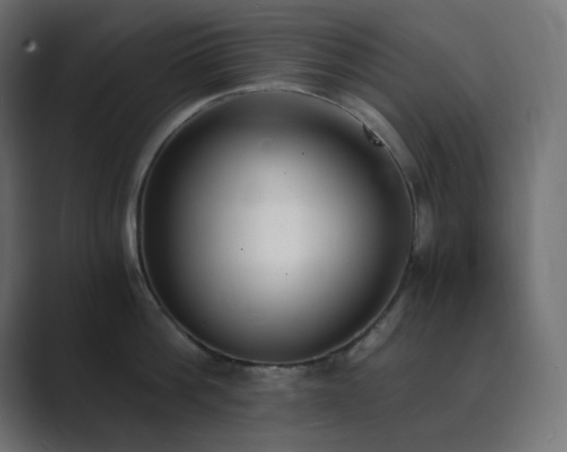 X0000089830812200706281210