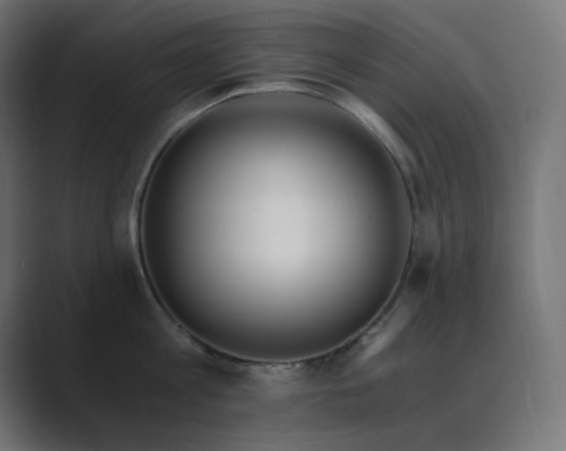 X0000089830813200706281210