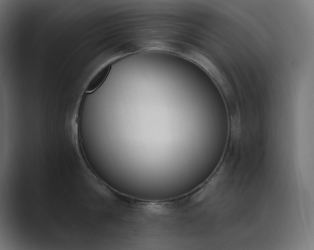 X0000089830814200706281210