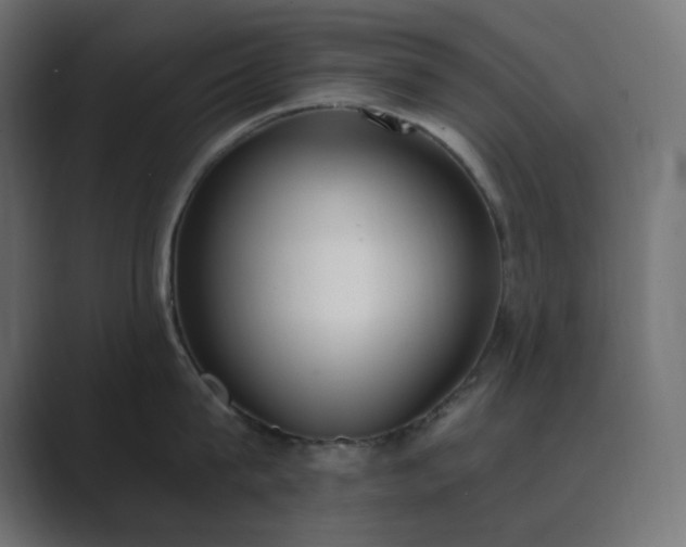 X0000089830815200706281210