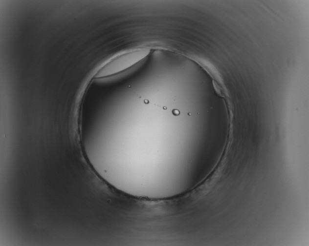 X0000089830816200706281210