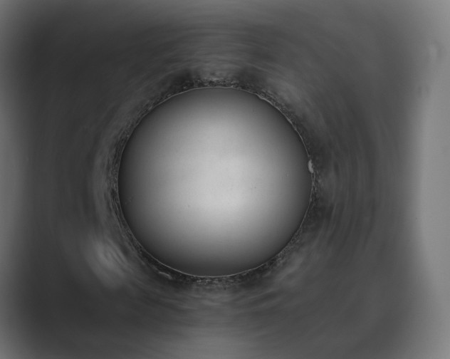 X0000089830817200706281210