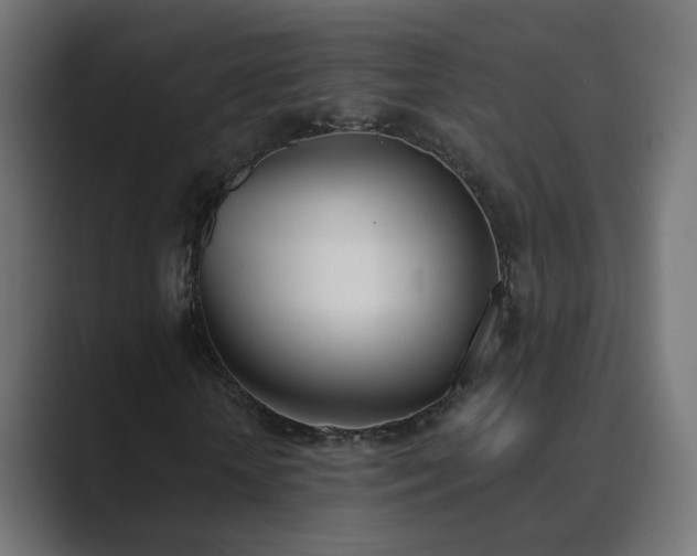 X0000089830818200706281210
