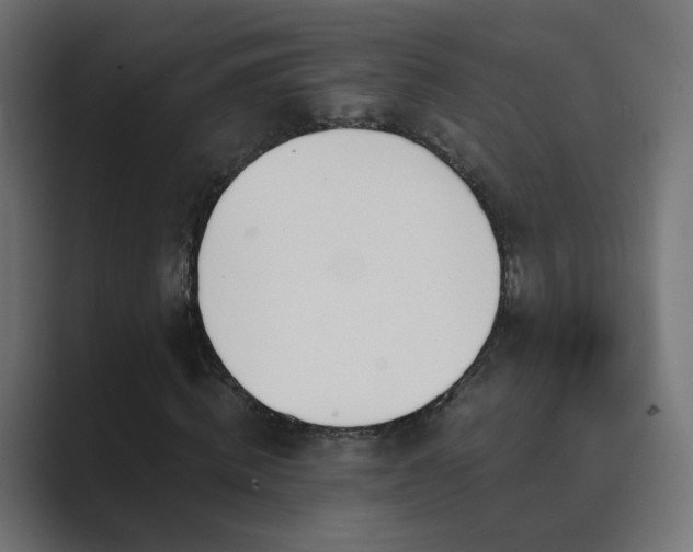 X0000089830820200706281210