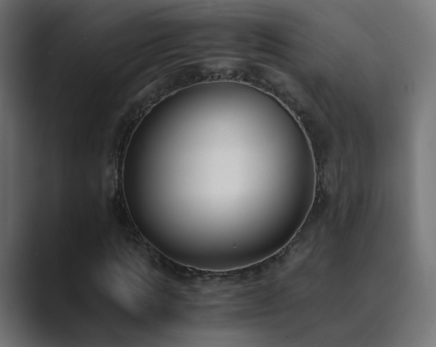 X0000089830821200706281210