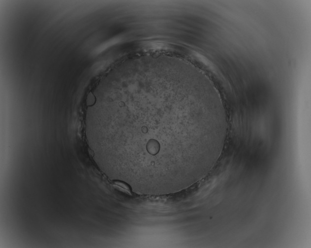 X0000089830823200706281210