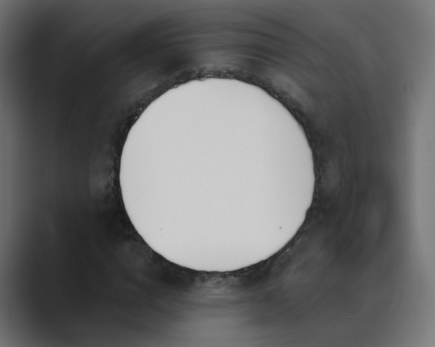 X0000089830824200706281210