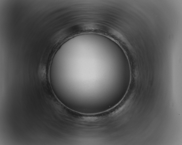X0000089830825200706281210