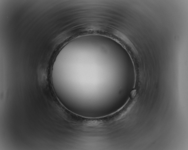 X0000089830826200706281210